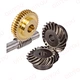 Worm Gear